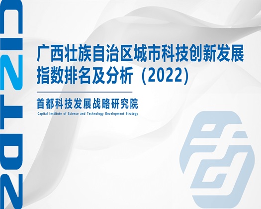 校花求艹【成果发布】广西壮族自治区城市科技创新发展指数排名及分析（2022）